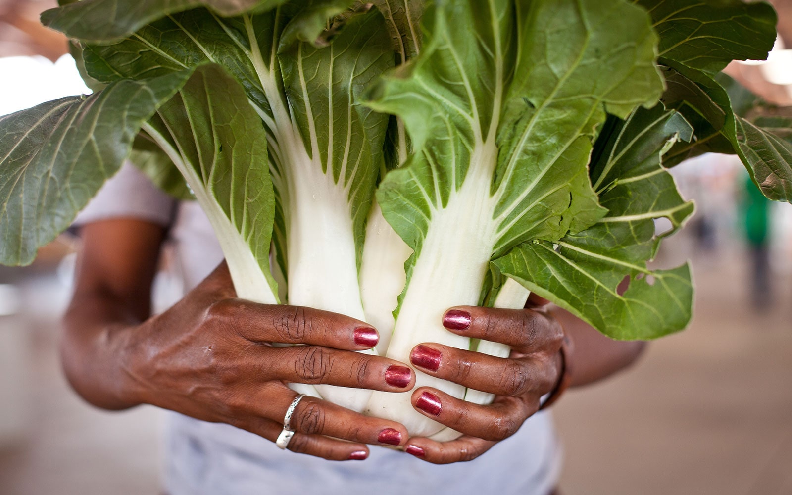 Two outstretched hands holding bunches of bok choy.